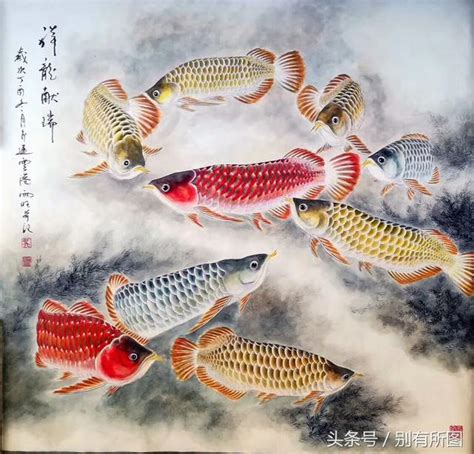 龍魚寓意